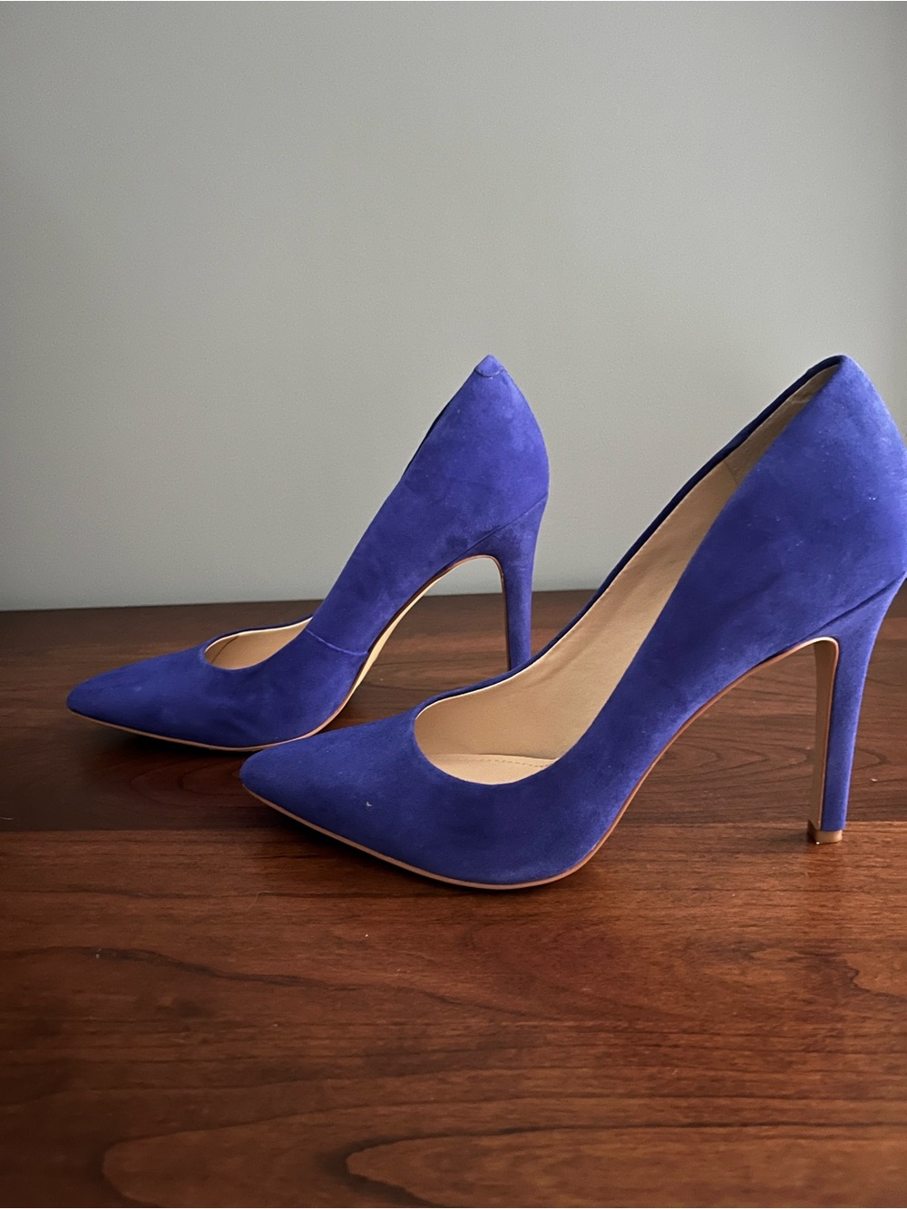 Classic Pointed-Toe True Suede High Heels